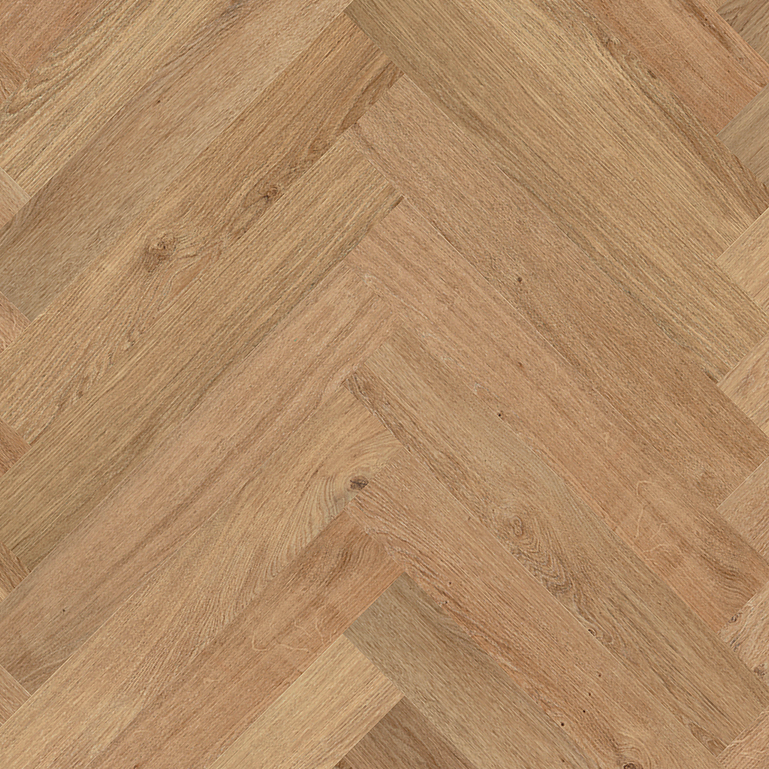 Floorify Gluedown Whalebone - Anago large