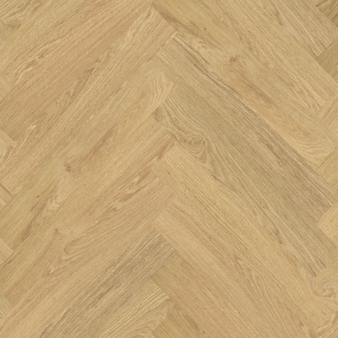 Floorify Gluedown Whalebone - Uni large